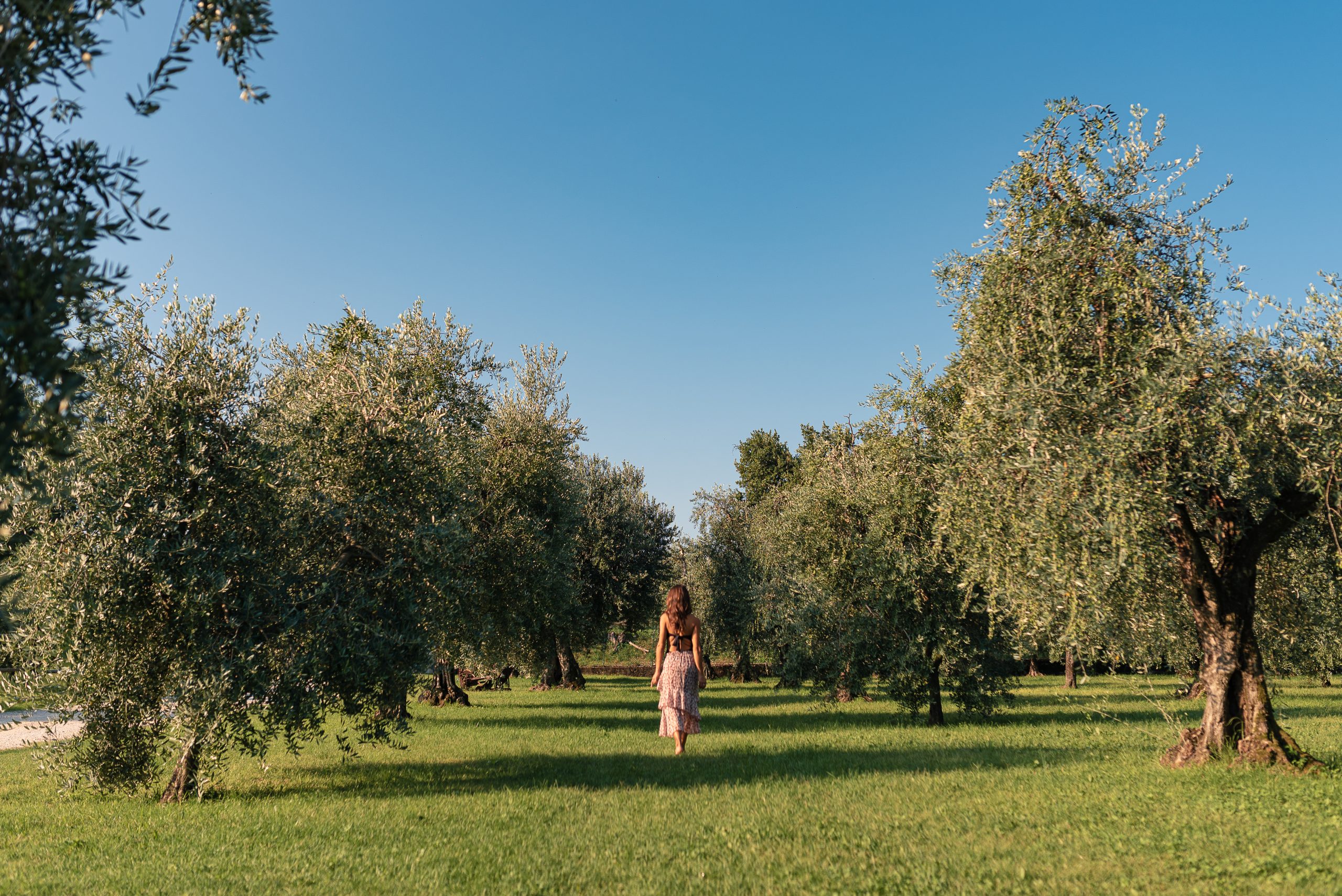 Adotta la tua pianta - Azienda Agricola Borghese Cavazza